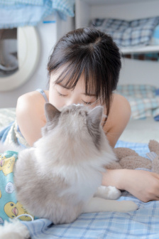 雪中悍刀行第二季在哪里可以看